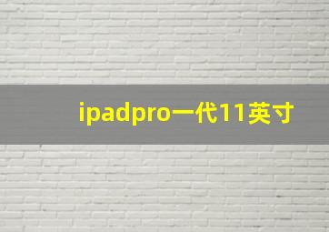 ipadpro一代11英寸