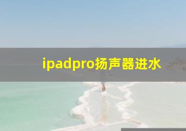 ipadpro扬声器进水