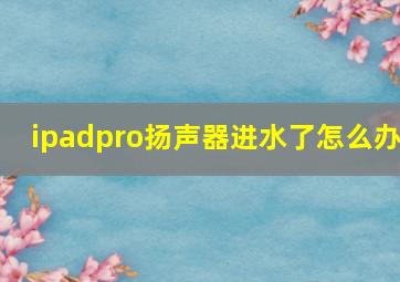 ipadpro扬声器进水了怎么办