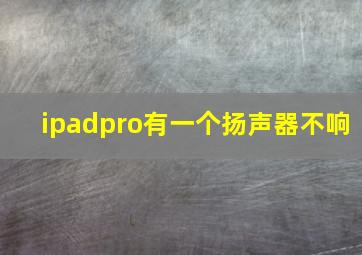 ipadpro有一个扬声器不响