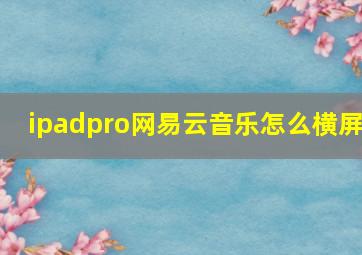 ipadpro网易云音乐怎么横屏