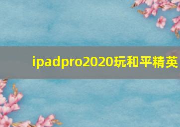 ipadpro2020玩和平精英