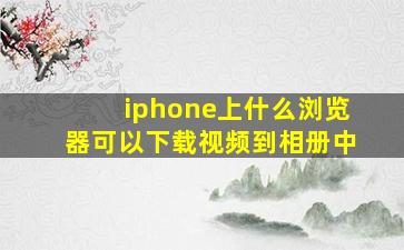 iphone上什么浏览器可以下载视频到相册中