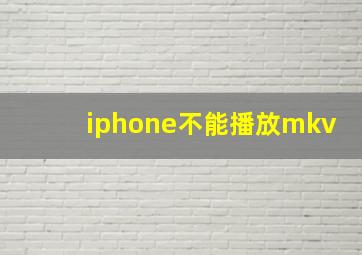 iphone不能播放mkv