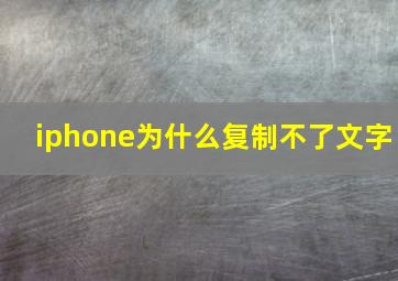 iphone为什么复制不了文字