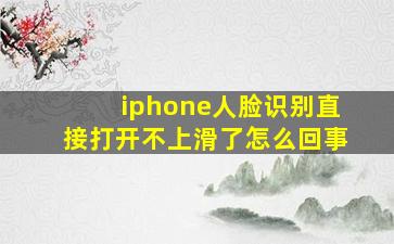 iphone人脸识别直接打开不上滑了怎么回事