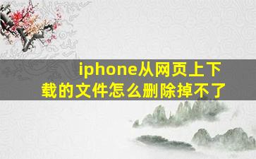 iphone从网页上下载的文件怎么删除掉不了