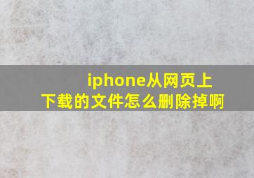 iphone从网页上下载的文件怎么删除掉啊