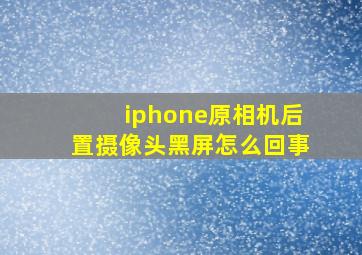 iphone原相机后置摄像头黑屏怎么回事