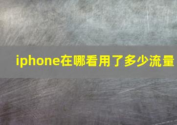 iphone在哪看用了多少流量