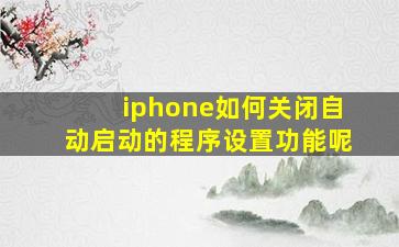 iphone如何关闭自动启动的程序设置功能呢