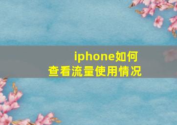 iphone如何查看流量使用情况