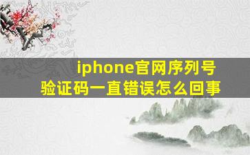 iphone官网序列号验证码一直错误怎么回事