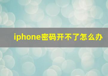 iphone密码开不了怎么办