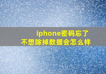 iphone密码忘了不想除掉数据会怎么样