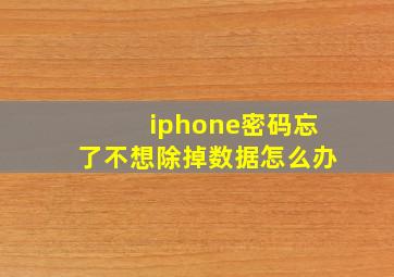 iphone密码忘了不想除掉数据怎么办