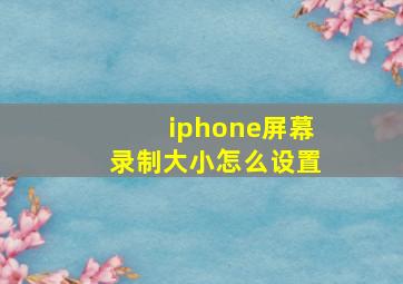 iphone屏幕录制大小怎么设置