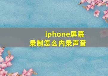 iphone屏幕录制怎么内录声音