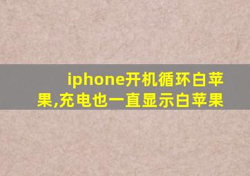 iphone开机循环白苹果,充电也一直显示白苹果