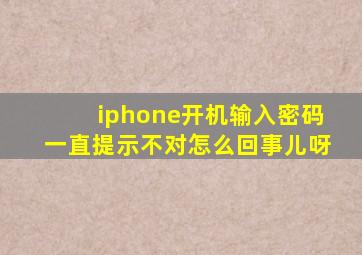 iphone开机输入密码一直提示不对怎么回事儿呀