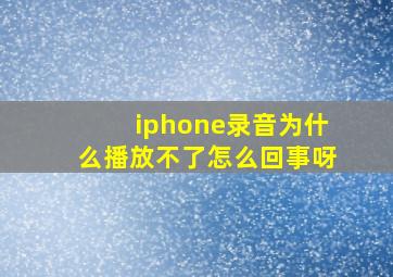 iphone录音为什么播放不了怎么回事呀