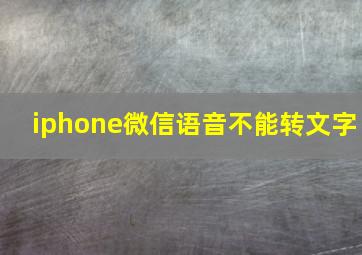 iphone微信语音不能转文字