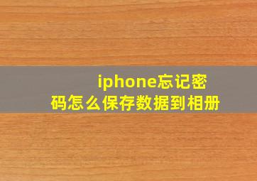 iphone忘记密码怎么保存数据到相册