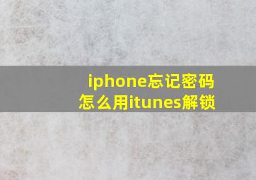 iphone忘记密码怎么用itunes解锁