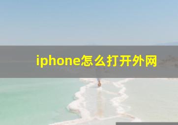 iphone怎么打开外网