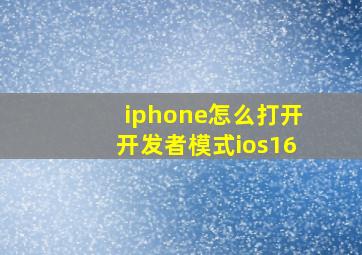 iphone怎么打开开发者模式ios16