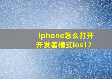 iphone怎么打开开发者模式ios17