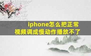 iphone怎么把正常视频调成慢动作播放不了