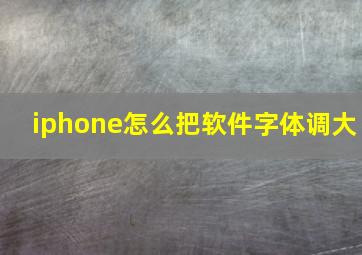 iphone怎么把软件字体调大