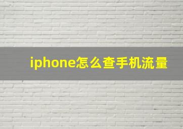 iphone怎么查手机流量