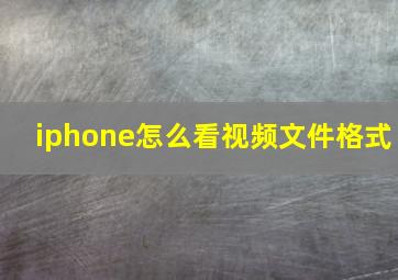 iphone怎么看视频文件格式