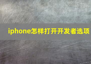 iphone怎样打开开发者选项