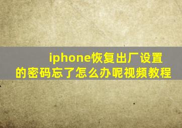 iphone恢复出厂设置的密码忘了怎么办呢视频教程