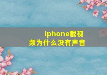 iphone截视频为什么没有声音