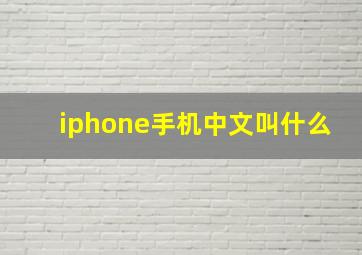 iphone手机中文叫什么