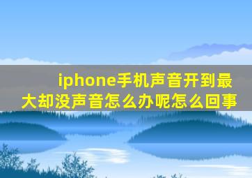 iphone手机声音开到最大却没声音怎么办呢怎么回事