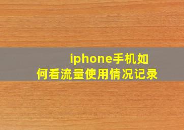 iphone手机如何看流量使用情况记录