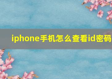 iphone手机怎么查看id密码