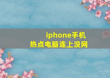 iphone手机热点电脑连上没网