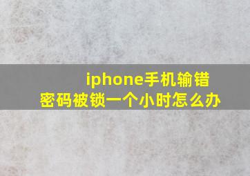 iphone手机输错密码被锁一个小时怎么办