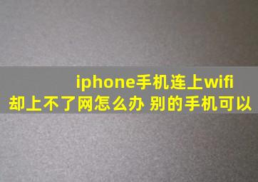 iphone手机连上wifi却上不了网怎么办 别的手机可以