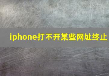 iphone打不开某些网址终止