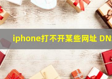 iphone打不开某些网址 DNS