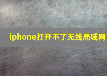 iphone打开不了无线局域网