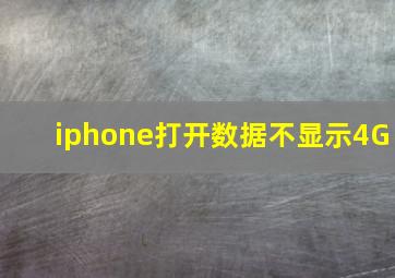 iphone打开数据不显示4G