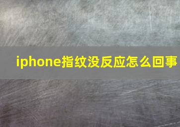 iphone指纹没反应怎么回事